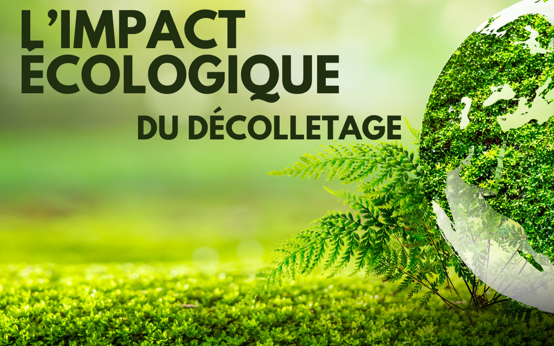 L&rsquo;impact écologique du décolletage